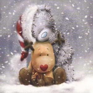 Meet your Posher, Darla